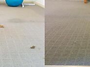 Carpet cleaning Adelaide