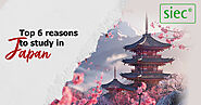 Top 6 reasons to study in Japan | An ideal student destination