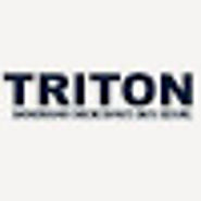 TRITON Background Checks's Google Profile