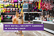 Why Install Security Cameras in Your Pet Shop - Phantom Security Group