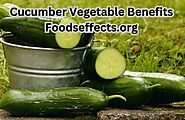 Cucumber Vegetable Benefits