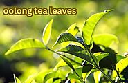 Oolong Tea | Oolong leaves