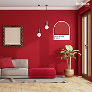 Modern Home Makeover: Achieve the Look with Indicus Paints