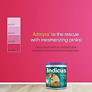 Transform Your Interiors with the Best Emulsion Paint - Indicus Paints