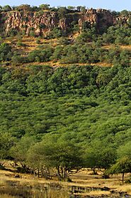 Parc national de Ranthambore — Wikipédia