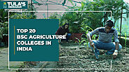 Top 20 BSc Agriculture Colleges in India | Tula's Institute, Dehradun