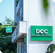 Best Pet Clinic & Veterinary Care in Jaipur | DCC Animal Hospital Jaipur