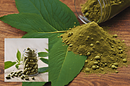 Kratom Drug Test: Does It Show Up? Learn about the risks, Signs, and Addiction Treatments