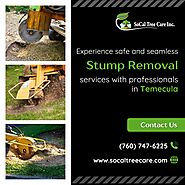 Tree Stump Removal Service in Temecula