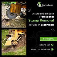 Tree Stump Removal Service in Escondido