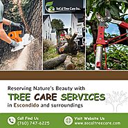 Tree Care Services in Escondido