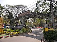 Chiang Mai Zoo