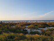 Saadiyat Island