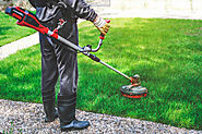 Lawn Care Services Near You in Niles, OH