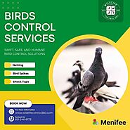 Birds Control Services in Menifee