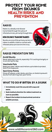 Prevent Rabies Risk by Identifying Skunk Infestation