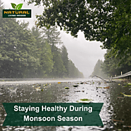 Staying Healthy During Monsoon Season