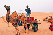 Camel Safari - Come Visit the best Desert Camel Safari Jaisalmer