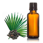 Saw Palmetto Oil Manufacturer In Germany