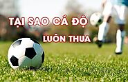 Tại sao cá độ bóng đá luôn thua? Lý do và cách tránh sai lầm