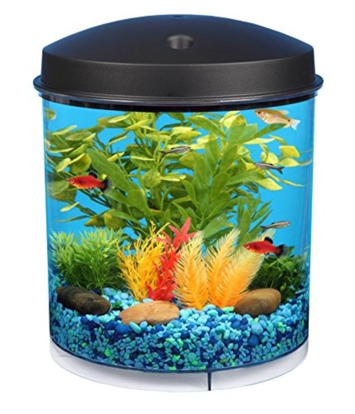 Best Aquarium Starter Kits Reviews A Listly List