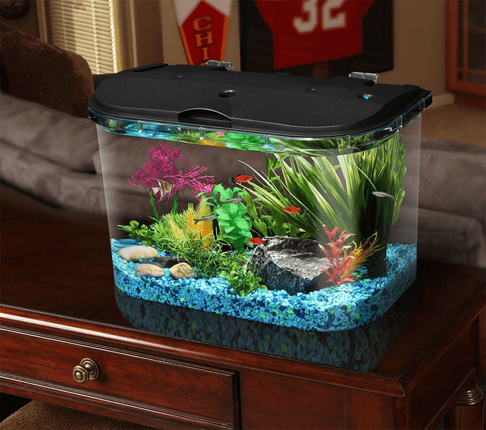 Best Aquarium Starter Kits Reviews | A Listly List