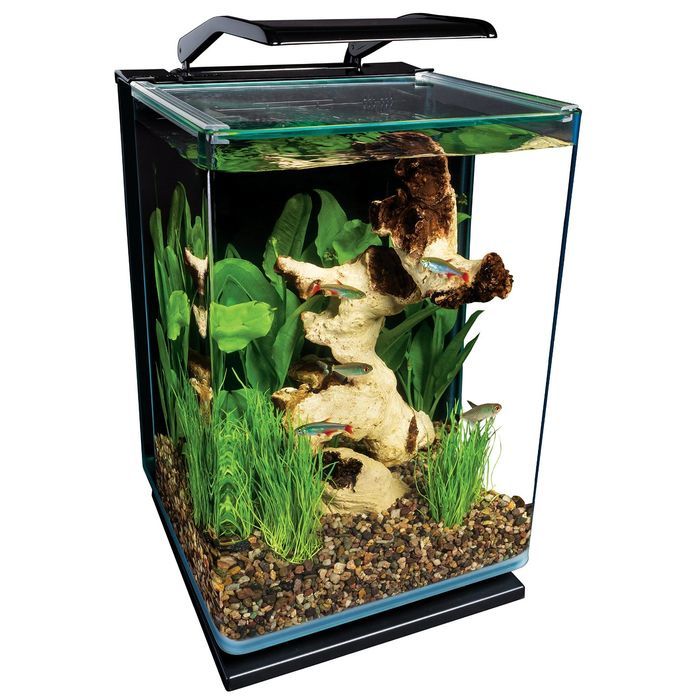 Best Aquarium Starter Kits Reviews A Listly List