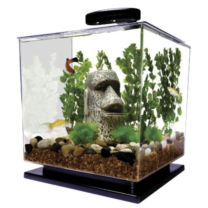 Best Aquarium Starter Kits Reviews A Listly List