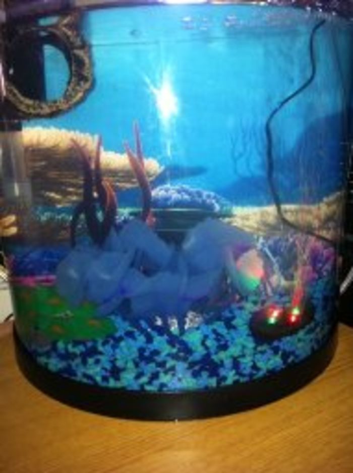 Best Aquarium Starter Kits Reviews A Listly List