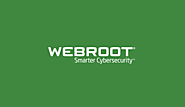 How Online Quizzes and Surveys Use Your Information | Webroot