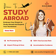 Your Ultimate Guide to Study Visa Consultants in Canada: Excalibur Immigration