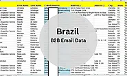 Brazil B2B Email List | Brazil Business Email List