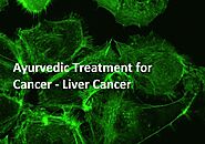 Ayurvedic Treatment for Cancer - Liver Cancer