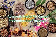 Ayurvedic Herbs: Empowering Cancer Prevention & Treatment