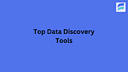 Top 10 Data Discovery Tools in 2024