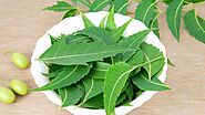 Neem Leaves: Nature's Pharmacy for Health and Wellness