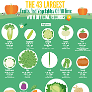 The 43 Largest Fruits and Vegetables of All Time With Official Records