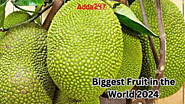 Biggest Fruit in the World By January 2024, Know the Name