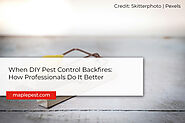 When DIY Pest Control Backfires: How Professionals Do It Better - Maple Pest Control