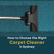 Local Carpet Cleaners Service in Coogee