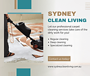 Carpet Cleaning Services in Pagewood