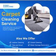 Carpet Steam Cleaning Services in Pagewood