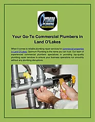 Your Go-To Commercial Plumbers in Land O'Lakes