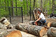 Top Tips for Exceptional Tree Service in Suwanee, GA