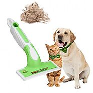 How to Choose the Best Hair Remover for Pet Owners Article - ArticleTed - News and Articles