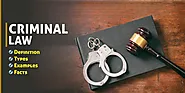 Criminal Law Explained: Definitions, Types, and Key Facts