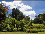 Victoria Park
