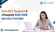 Free DLT Support & Cheapest Bulk SMS Service Provider - Shree Tripada
