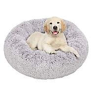 Finding the Perfect Donut Bed for Ultimate Pet Comfort