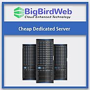 Dedicated Server with 256 IPs (/24) - BigBirdWeb.Com